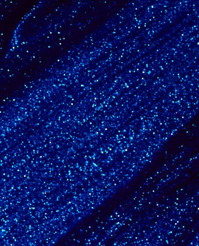 Blue My Mind